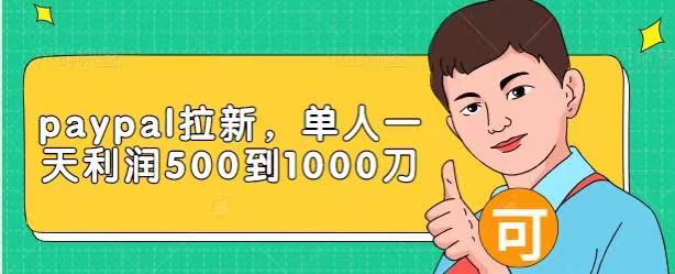 Paypal拉新赚美刀项目,单人一天利润500-1000刀【视频课程】-赚金金-技能学习分享