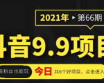 抖音9.9课程项目,没粉丝也能卖课,一天300+粉易变现-赚金金-技能学习分享
