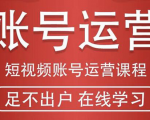 短视频账号运营课程:从话术到短视频运营再到直播带货全流程,新人快速入门-赚金金-技能学习分享