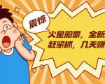 火星船票,全新风口赶紧抓,几天赚一万+摆地摊卖尾货月入一万(5个项目)-赚金金-技能学习分享