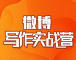 村西边老王·微博超级写作实战营,帮助你粉丝猛涨价值999元-赚金金-技能学习分享