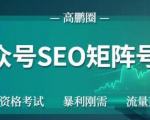 高鹏圈公众号SEO矩阵号群,实操20天纯收益25000+,普通人都能做-赚金金-技能学习分享