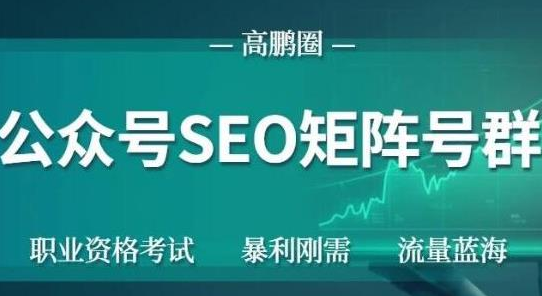高鹏圈公众号SEO矩阵号群,实操20天纯收益25000+,普通人都能做-赚金金-技能学习分享