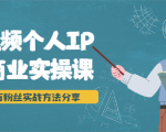 短视频个人IP商业实操课,百万粉丝实战方法分享,小白也能实现流量变现-赚金金-技能学习分享