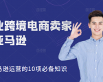 职业跨境电商卖家聊亚马逊:亚马逊运营的10项必备知识,12堂课让你看懂亚马逊运营-赚金金-技能学习分享