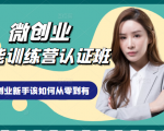 微创业全能训练营认证班课程，从理论知识与实际案例手把手指导创业新手如何从零到有-赚金金-技能学习分享