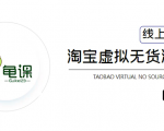 龟课·淘宝虚拟无货源电商5期,全程直播 现场实操,一步步教你轻松实现躺赚-赚金金-技能学习分享