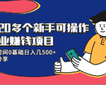 20多个新手可操作的副业赚钱项目:业余时间0基础日入几500+实操分享-赚金金-技能学习分享