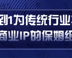 从0到1为传统行业打造抖音商业IP简单高效的保姆级攻略-赚金金-技能学习分享