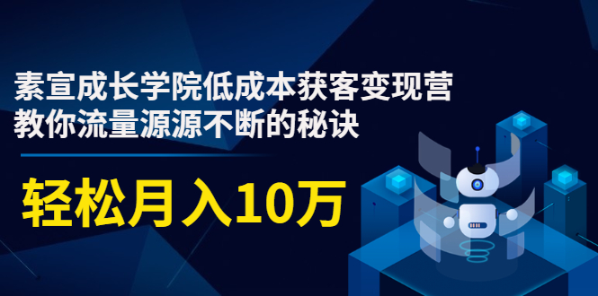 素宣成长学院低成本获客变现营,教你流量源源不断的秘诀,轻松月入10万-赚金金-技能学习分享