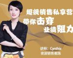有料识堂·超级销售私享课，解密顶级销售的套路打法助你升级销冠-赚金金-技能学习分享