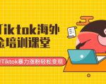 最新Tiktok海外掘金培训课堂:带你玩转Tiktok暴力涨粉轻松变现-赚金金-技能学习分享