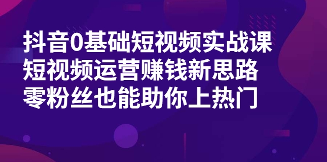 抖音0基础短视频实战课,短视频运营赚钱新思路,零粉丝也能助你上热门-赚金金-技能学习分享