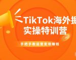 TikTok海外掘金实操特训营:手把手教运营变现赚钱-赚金金-技能学习分享