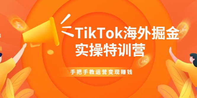 TikTok海外掘金实操特训营：手把手教运营变现赚钱-赚金金-技能学习分享