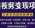 在家也能操作的短视频赚钱项目,无需真人,不用拍摄,纯搬运月入2到5万-赚金金-技能学习分享