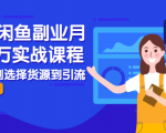 2021闲鱼副业月入过万实战课程:从开店到选择货源到引流,全程实战教学-赚金金-技能学习分享