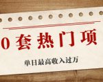 30套热门项目:单日最高收入过万 (网赚项目、朋友圈、涨粉套路、抖音、快手)等-赚金金-技能学习分享