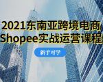 2021东南亚跨境电商Shopee实战运营课程，0基础、0经验、0投资的副业项目-赚金金-技能学习分享