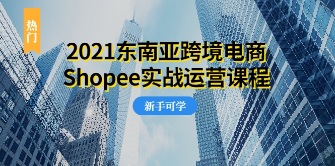 2021东南亚跨境电商Shopee实战运营课程,0基础、0经验、0投资的副业项目-赚金金-技能学习分享