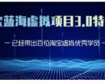 黄岛主·淘宝蓝海虚拟项目3.0,小白宝妈零基础的都可以做到月入过万-赚金金-技能学习分享