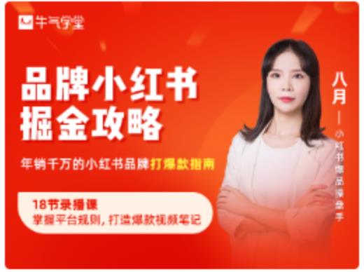 品牌小红书掘金攻略,年销千万的小红书品牌打爆款指南-赚金金-技能学习分享