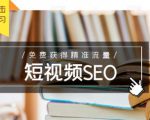 未来新趋势,布局短视频SEO,如何利用抖音SEO免费获得精准流量(3节课)-赚金金-技能学习分享