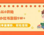 生财小红书涨粉变现:新账号从0开始3个月小红书涨粉5W+实现单篇爆粉-赚金金-技能学习分享