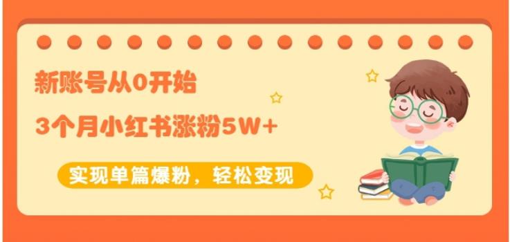 生财小红书涨粉变现:新账号从0开始3个月小红书涨粉5W+实现单篇爆粉-赚金金-技能学习分享