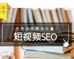 未来新趋势，布局短视频SEO，如何利用抖音SEO免费获得精准流量（3节课）-赚金金-技能学习分享