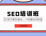 SEO培训班课程,手把手教你做出一个权重6的例站,价值8000元-赚金金-技能学习分享