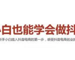 2021最新抖音小店无货源课程,小白也能学会做抖店,轻松月入过万-赚金金-技能学习分享