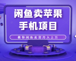 闲鱼卖苹果手机项目,教你闲鱼卖货月入上万-赚金金-技能学习分享