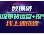 数据哥·超级带货运营+投手线上速成课，快速提升运营和熟悉学会投手技巧-赚金金-技能学习分享