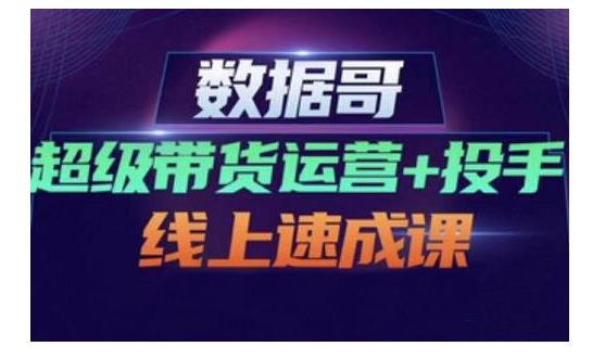 数据哥·超级带货运营+投手线上速成课，快速提升运营和熟悉学会投手技巧-赚金金-技能学习分享