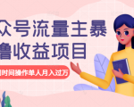 公众号流量主暴利撸收益项目，空闲时间操作单人月入过万-赚金金-技能学习分享