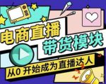 大鹏·电商直播带货课,系统学习直播带货各环节技巧和套路-赚金金-技能学习分享