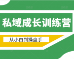 电商私域成长训练营,从小白到操盘手(价值999元)-赚金金-技能学习分享