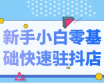 抖音小店新手小白零基础快速入驻抖店100%开通(全套11节课程)-赚金金-技能学习分享
