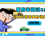 复购率超过45%,小商业获客复购训练营进阶课程-赚金金-技能学习分享