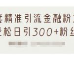 1套精准引流金融粉方法,轻松日引300+粉丝-赚金金-技能学习分享
