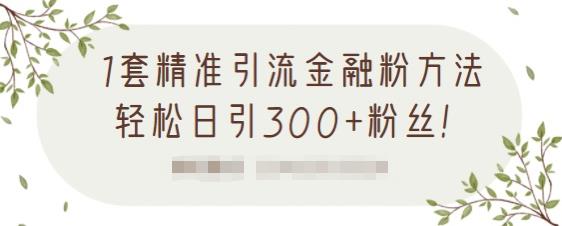 1套精准引流金融粉方法,轻松日引300+粉丝-赚金金-技能学习分享