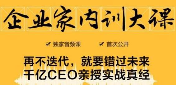 企业家内训大课,未来企业必学经验,价值1299元-赚金金-技能学习分享