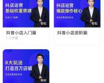 湛北·抖音小店入门进阶高阶合集,八大玩法打造百万店铺-赚金金-技能学习分享