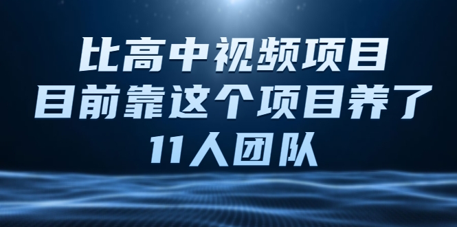 比高中视频项目,目前靠这个项目养了11人团队【视频课程】-赚金金-技能学习分享
