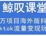 鲸叹号·海外TIKTOK训练营,百万项目海外版抖音tiktok流量变现玩法-赚金金-技能学习分享
