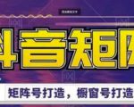 高鹏圈·抖音带货矩阵项目,起号成功率100%,出单率100%!-赚金金-技能学习分享