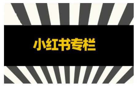 品牌医生·小红书全链营销干货,5个起盘案例,7个内容方向,n条避坑指南-赚金金-技能学习分享