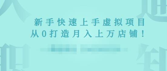 2022年虚拟项目实战指南,新手从0打造月入上万店铺-赚金金-技能学习分享