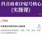 抖音商业IP起号核心实操课,带你玩转算法,流量,内容,架构,变现-赚金金-技能学习分享
